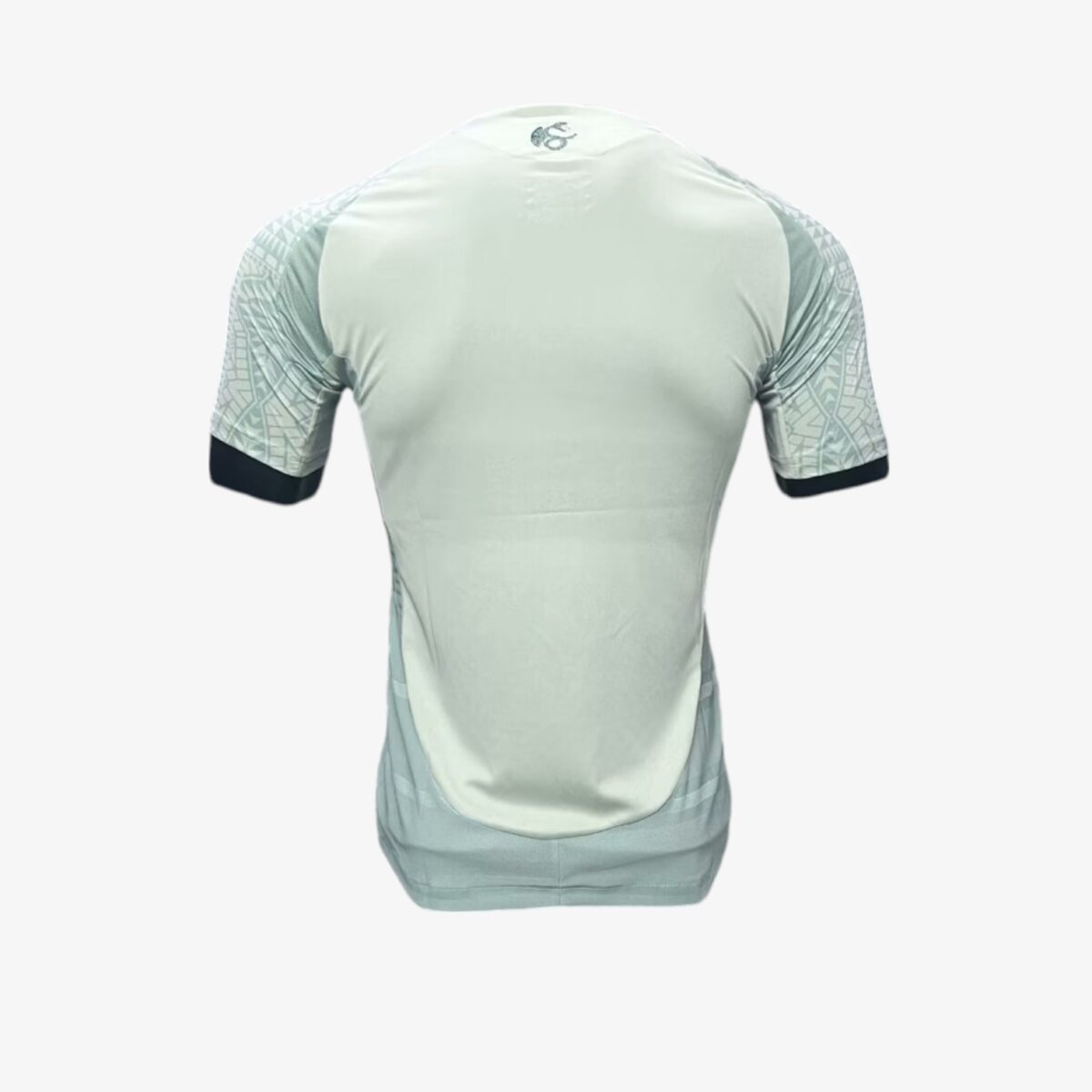 Mexico Away Jersey Player Version Copa America 2024/25 - Image 5