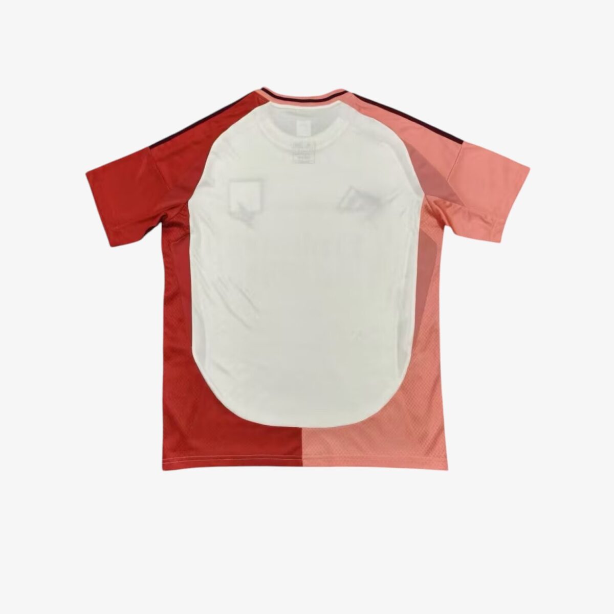 Olympique Lyonnais Third Jersey 2024/25 - Image 2