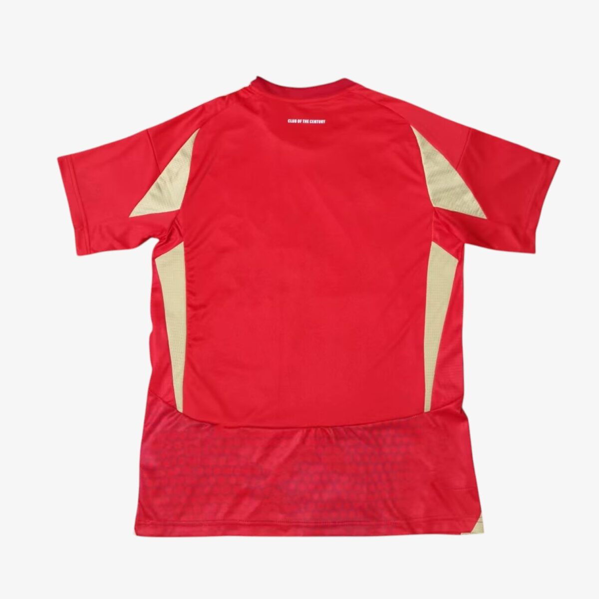 Al Ahli SC Home Jersey 2024/25 - Image 2