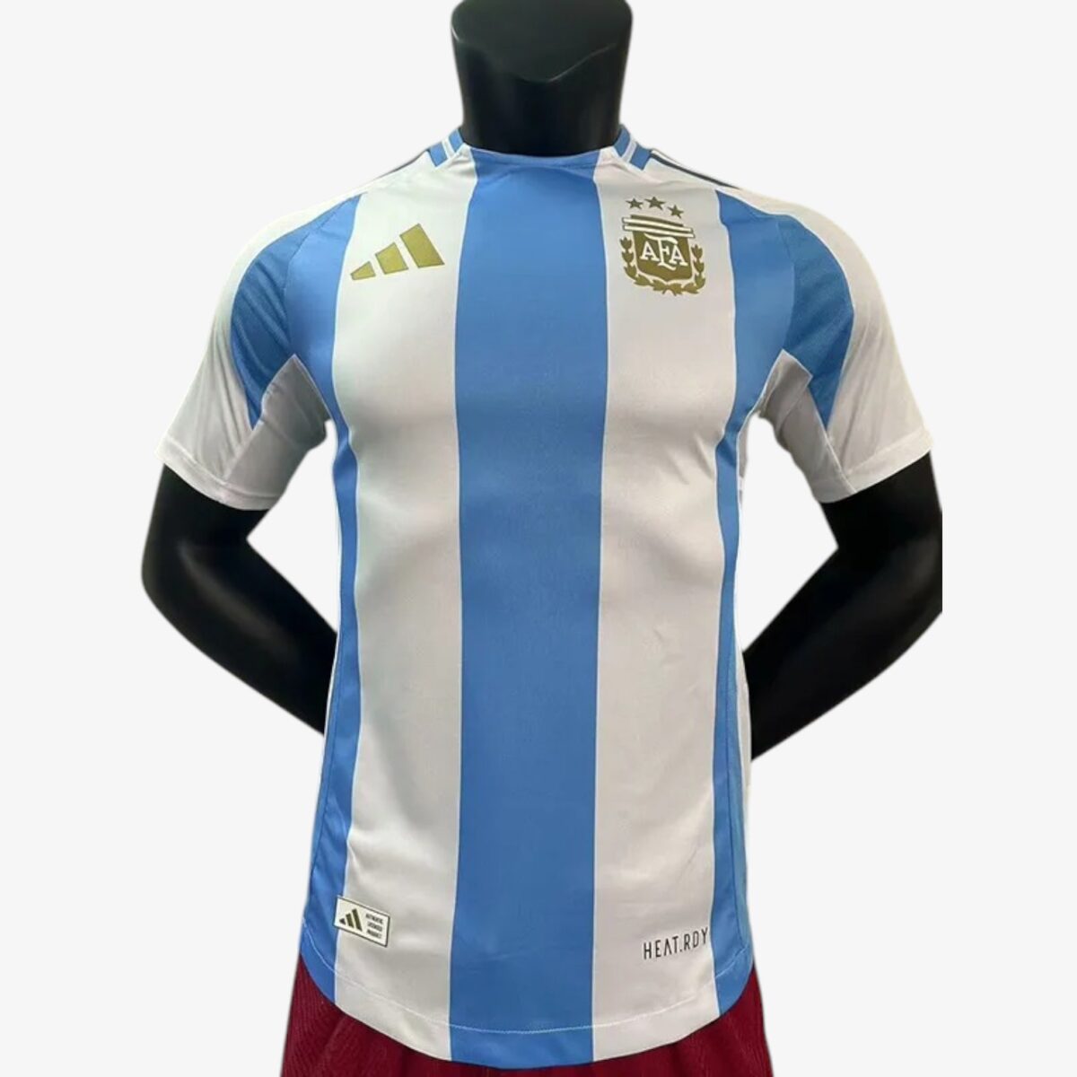 Argentina Home Training Jersey 2024/25