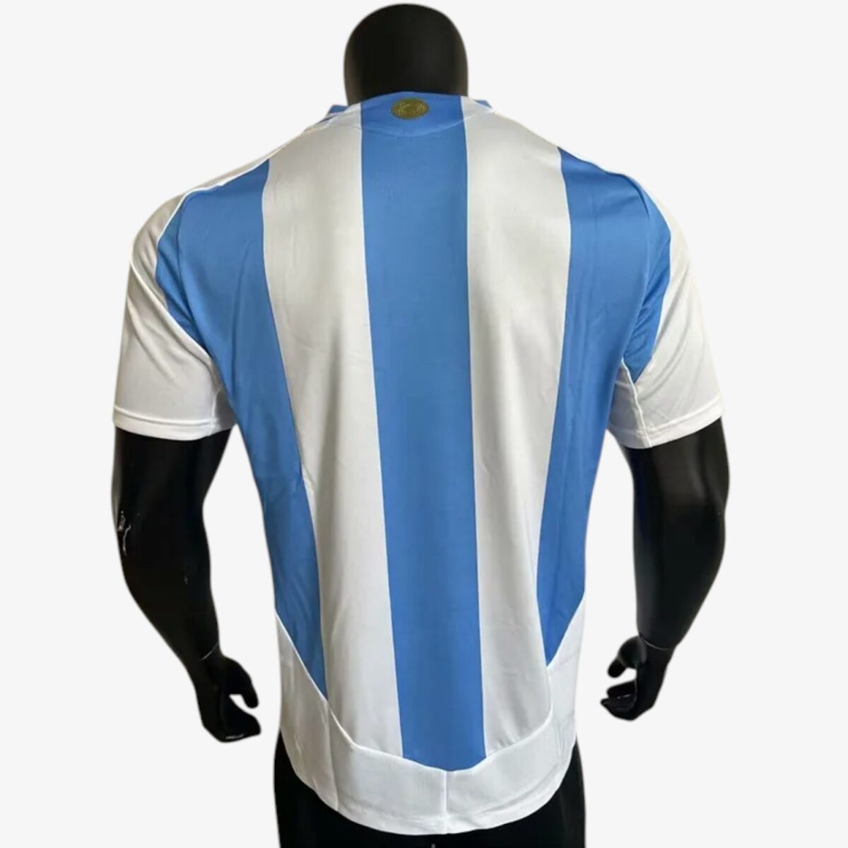 Argentina Home Training Jersey 2024/25 - Image 2