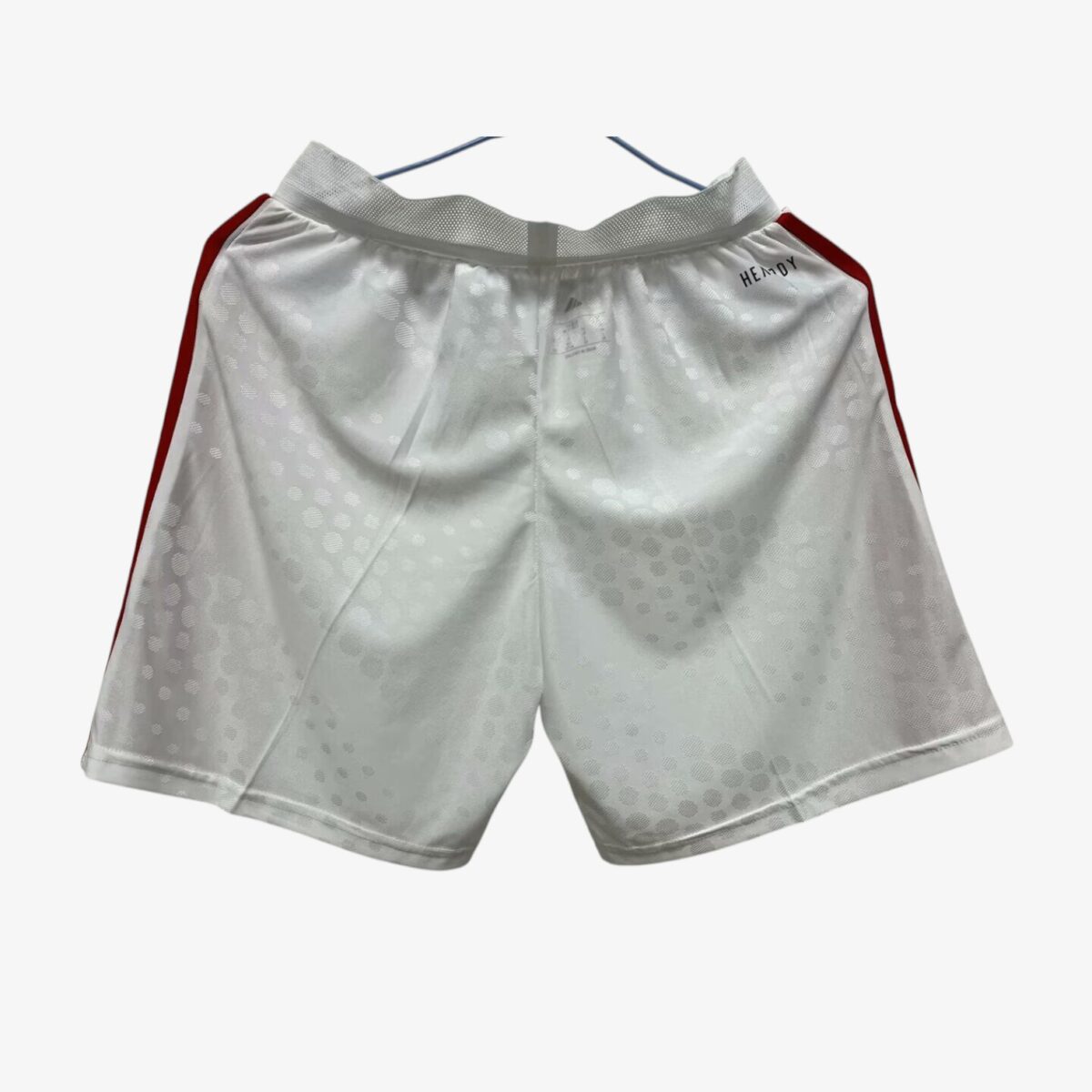 Benfica Shorts 2025/26 - Image 2