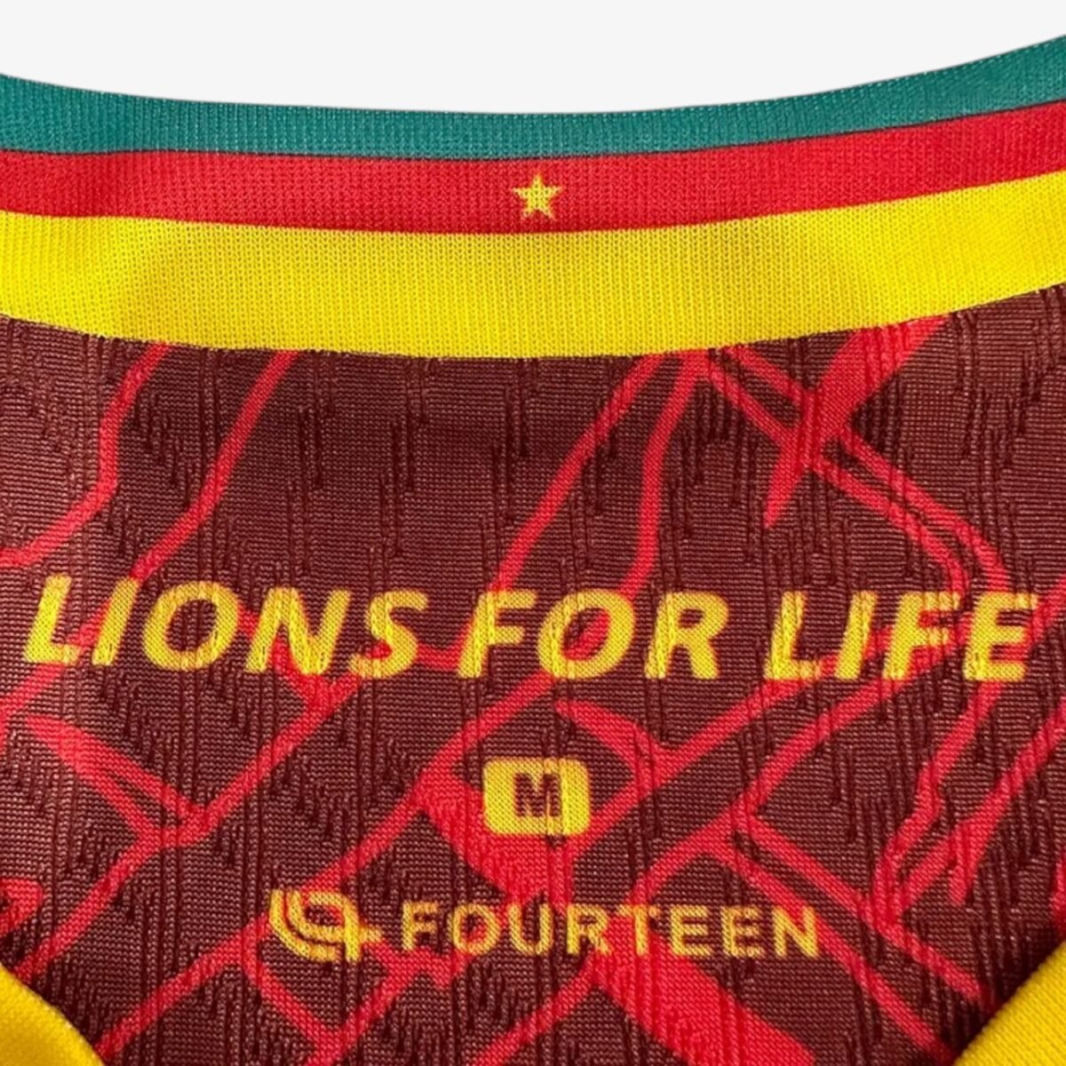 Cameroon Away Training Jersey 2025/26 - Image 3