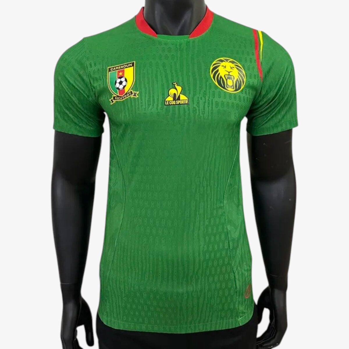 Cameroon Home Training Jersey 2024/25