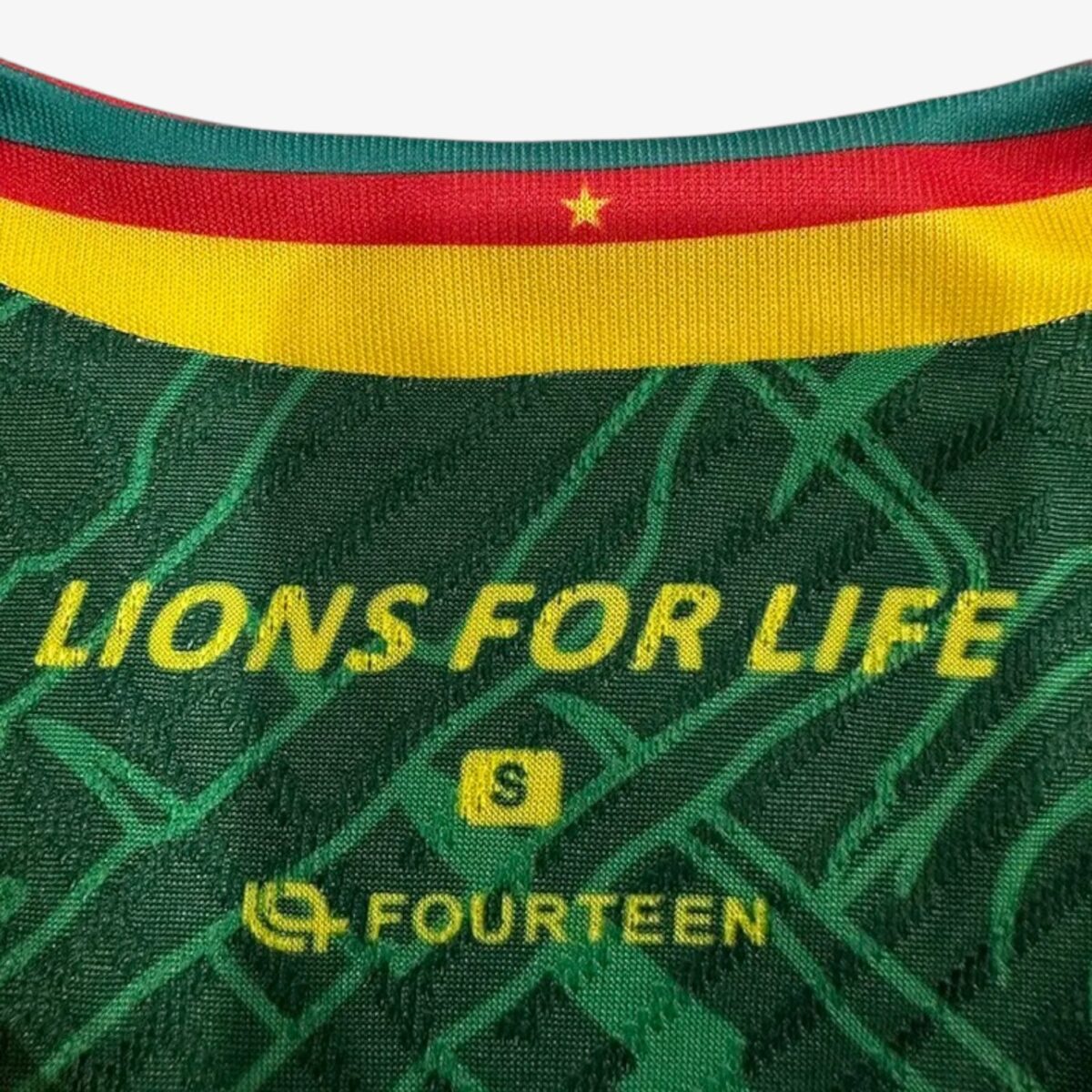 Cameroon Home Training Jersey 2025/26 - Image 4