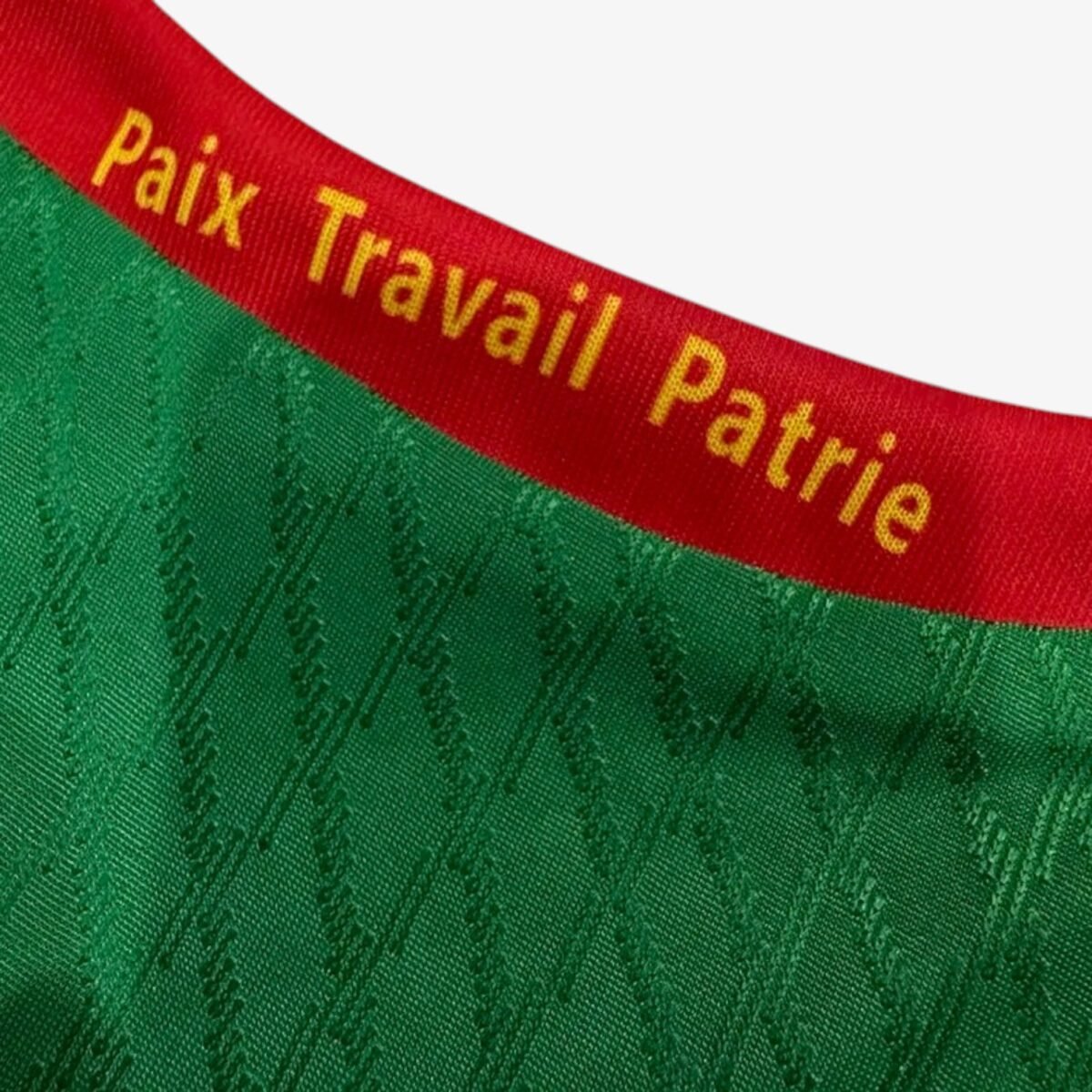 Cameroon Home Training Jersey 2025/26 - Image 3