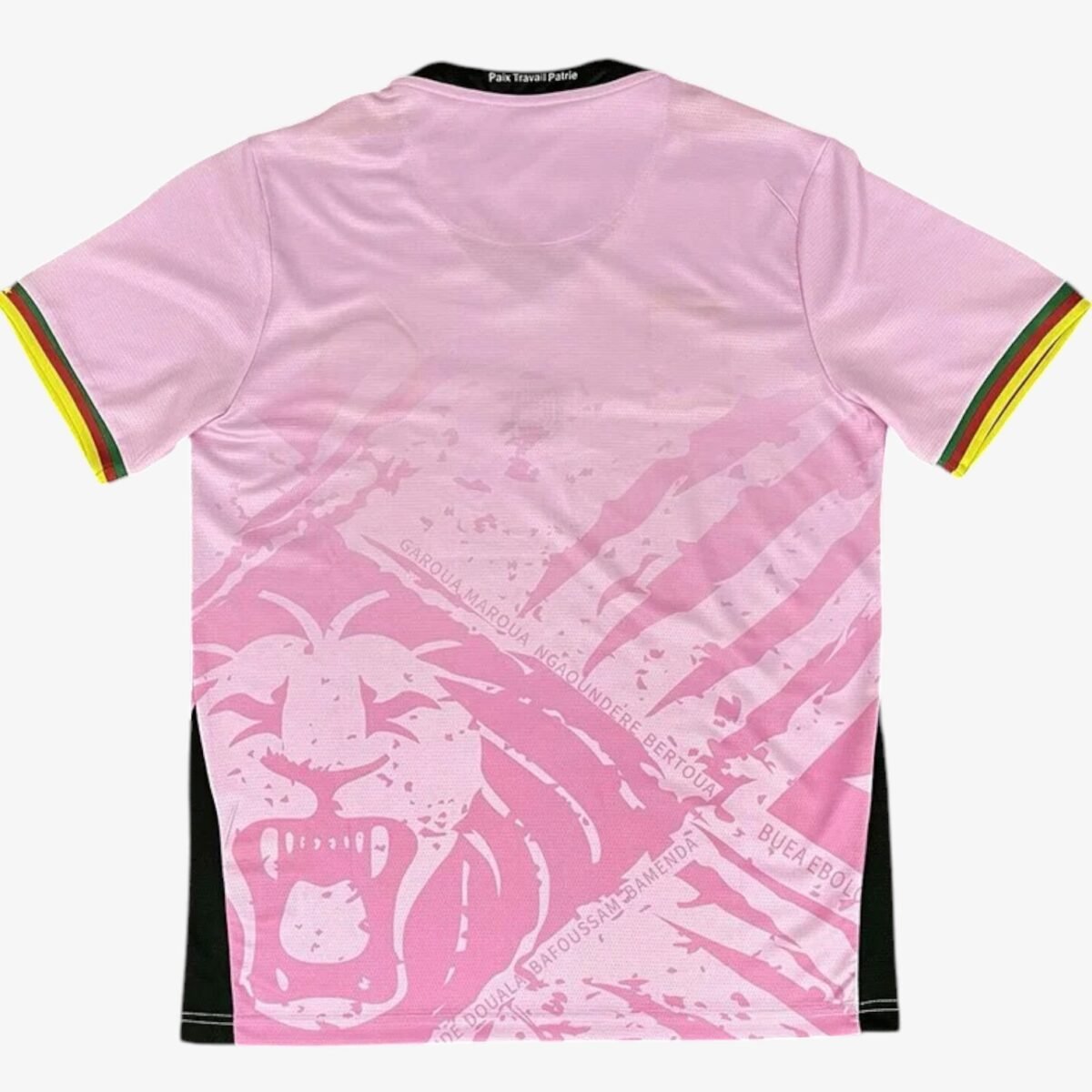 Cameroon Special Edition Jersey 2025/26 - Image 2