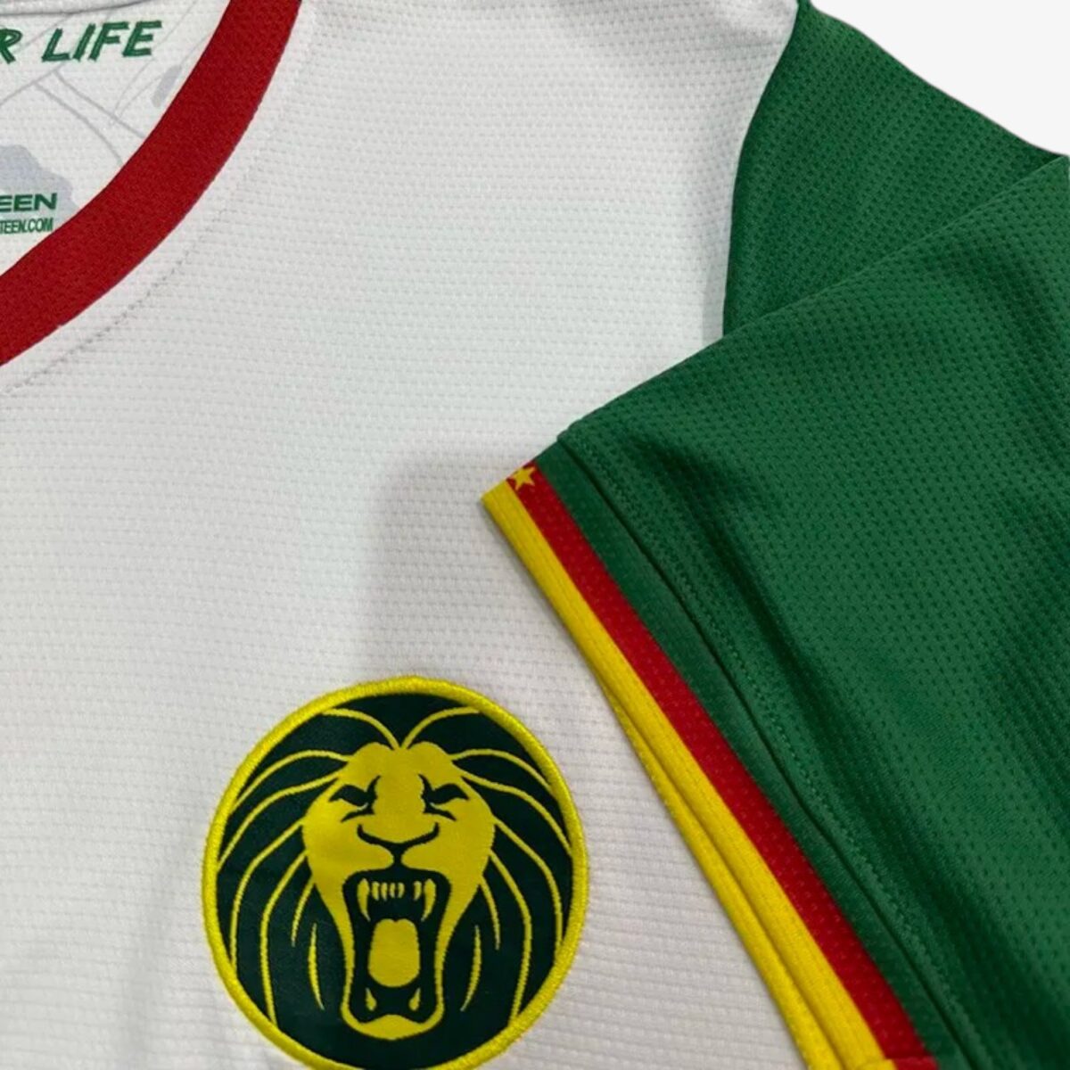 Cameroon Third Jersey 2025/26 - Image 3