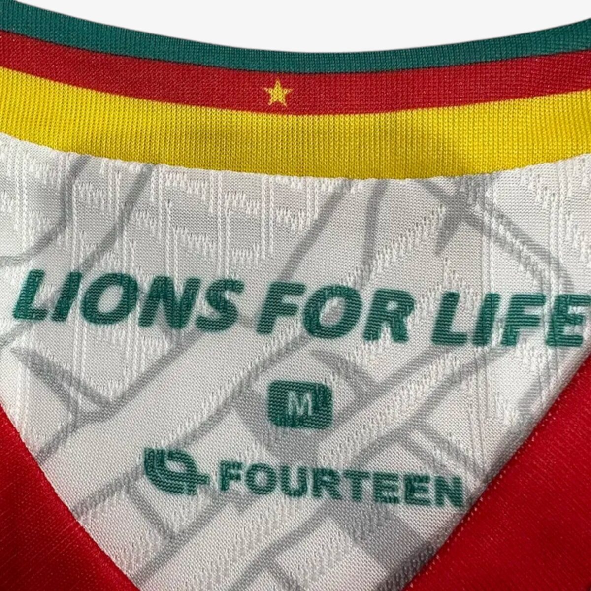 Cameroon Third Training Jersey 2025/26 - Image 4