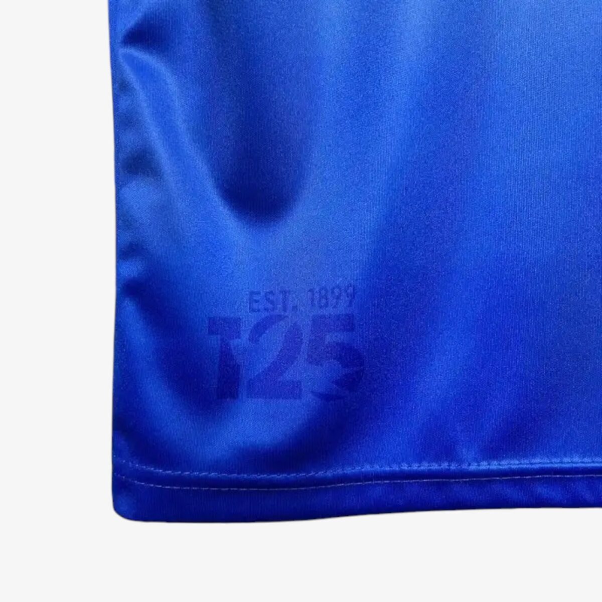 Cardiff City F.C. Home Jrsey 2024/25 - Image 3