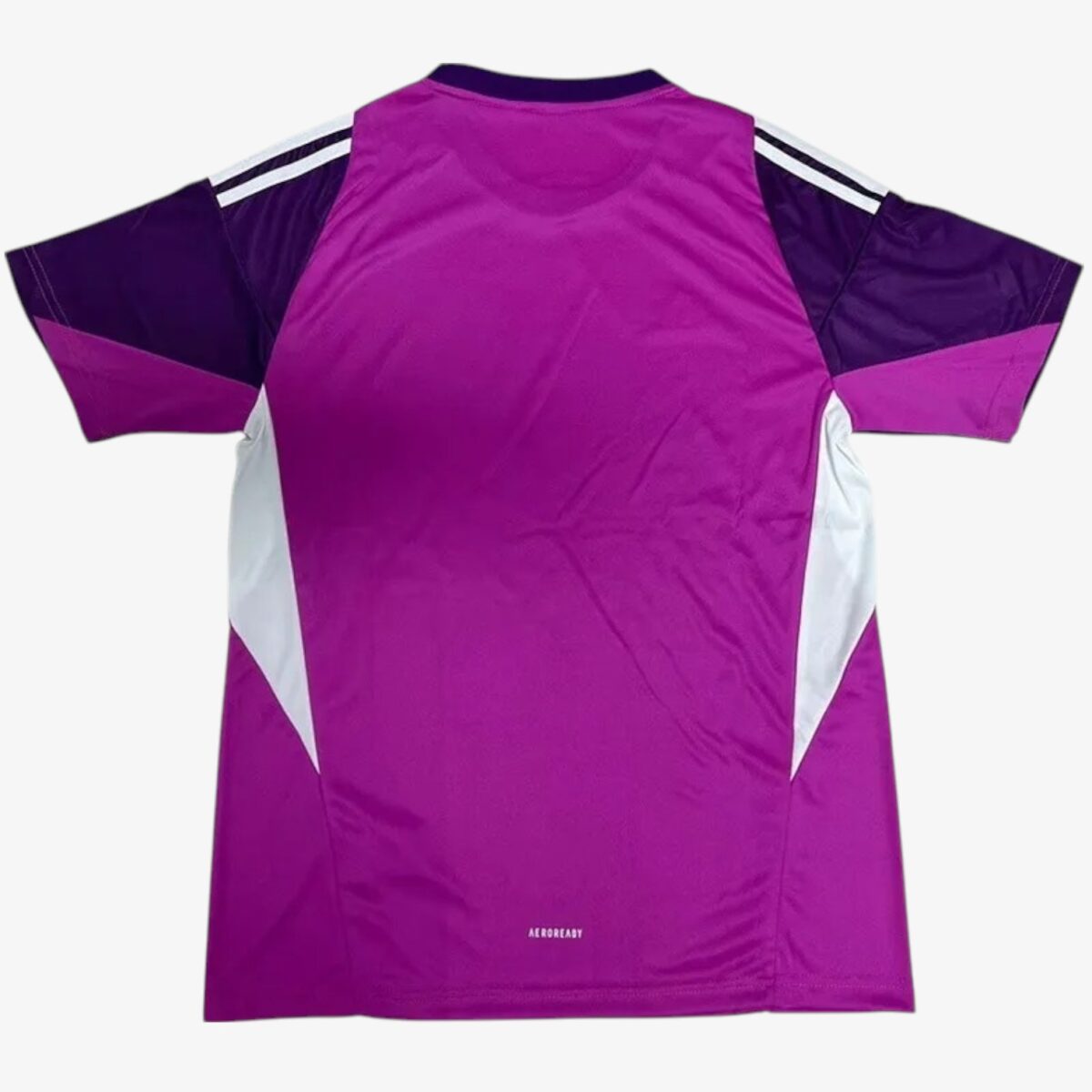 Italy Purple GoalKeeper Soccer Jersey 2025/26 - Image 2