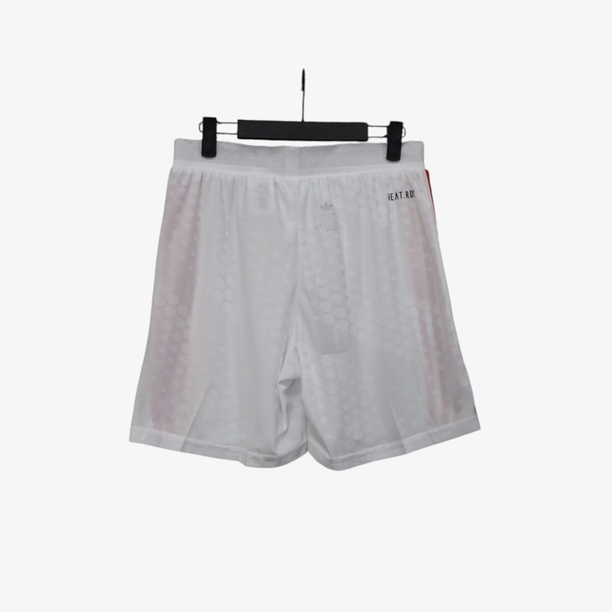 Japan Shorts 2024/25 - Image 3