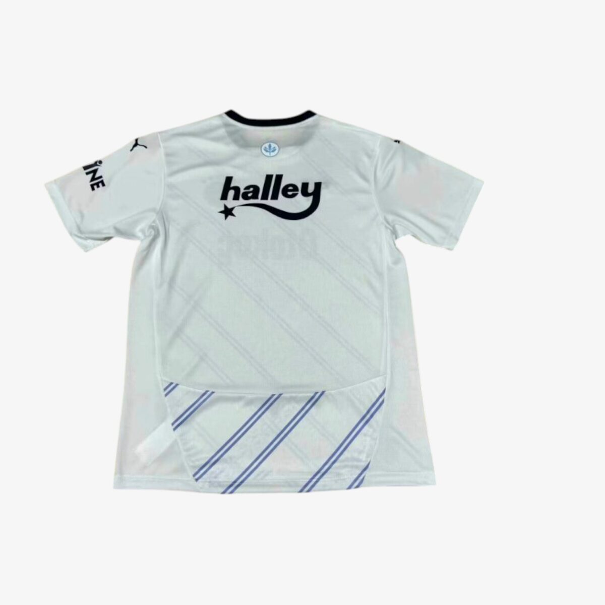 Fenerbahçe SK Away Jersey 2024/25 - Image 2