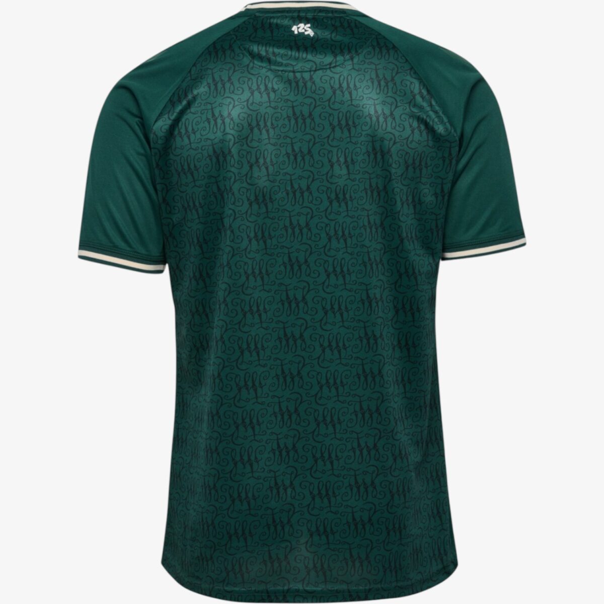 Werder Bremen 125th Jersey 2023/24 - Image 2