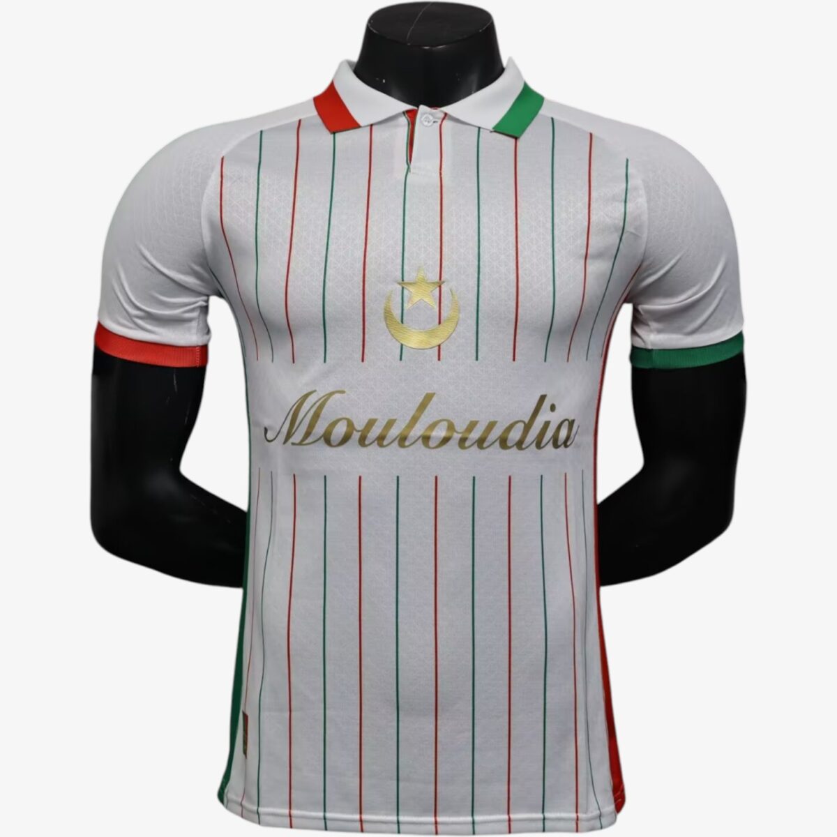 Palestine White Player Version Jersey 2025/26