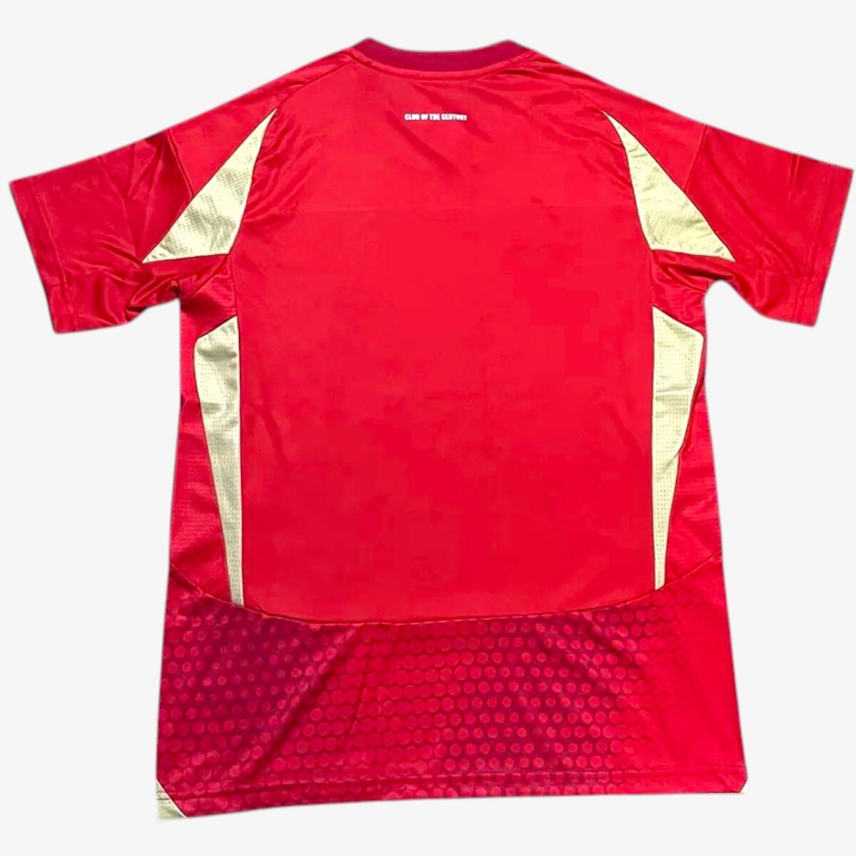 Al Ahly FC Home Jersey 2024/25 - Image 2