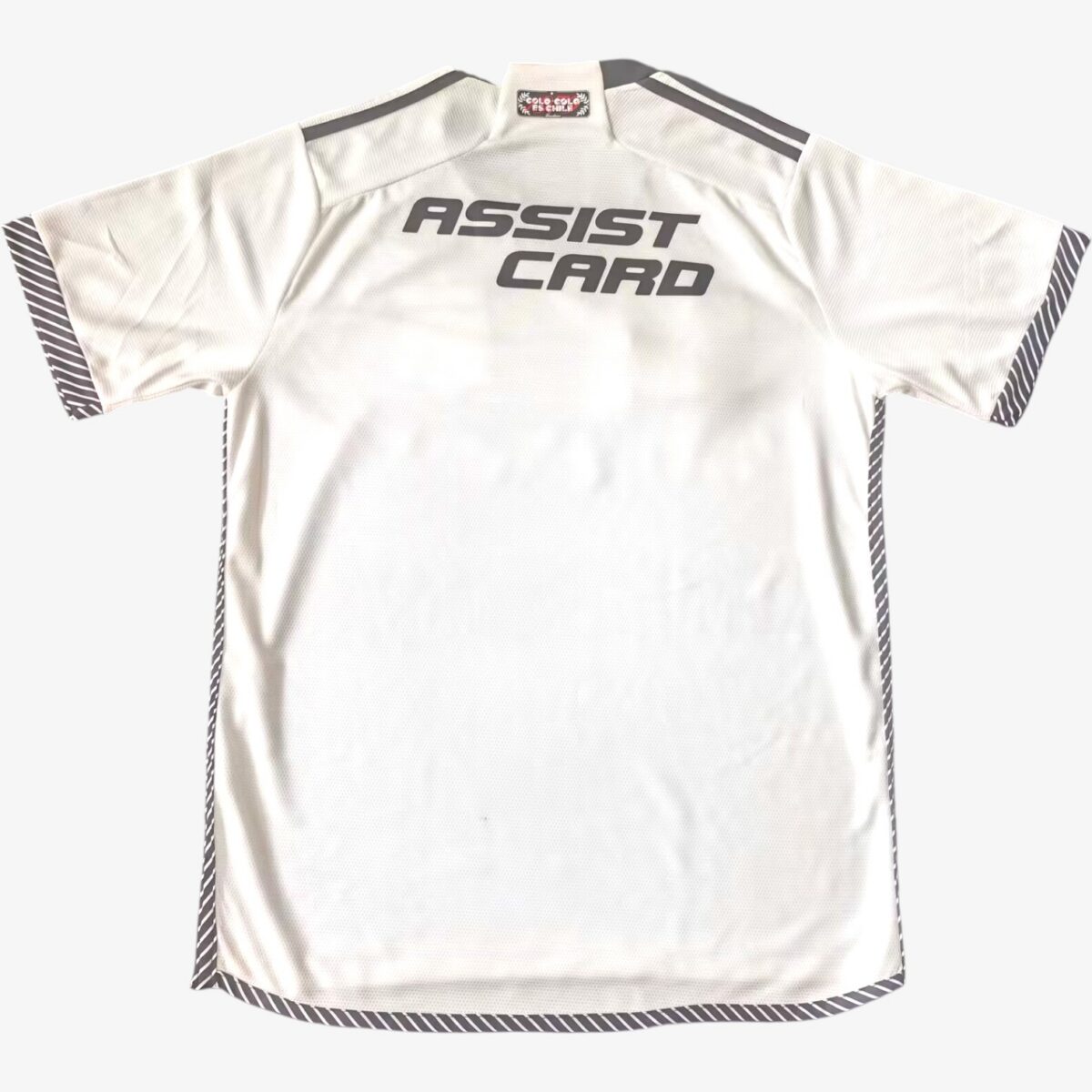Colo colo Home Jersey 2024/25 - Image 2