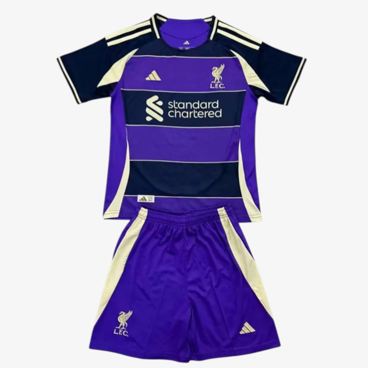 Liverpool Concept Edition Purple Jersey 2025/26 — Kids