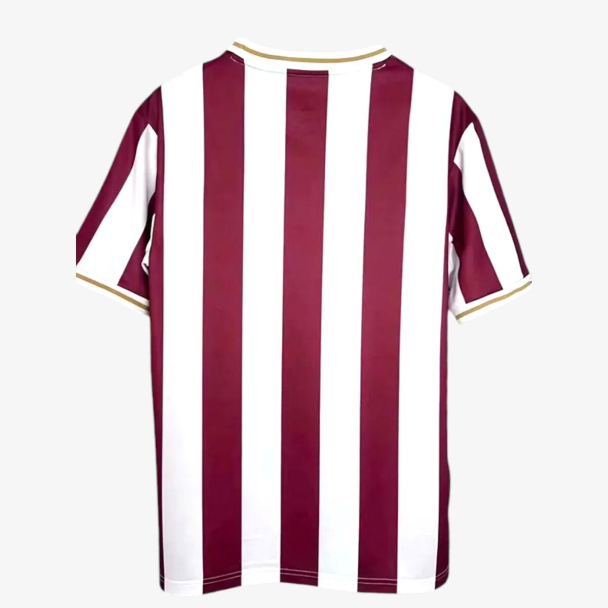 FC Nürnberg 125th Anniversary Edition Jersey 2025/26 - Image 2