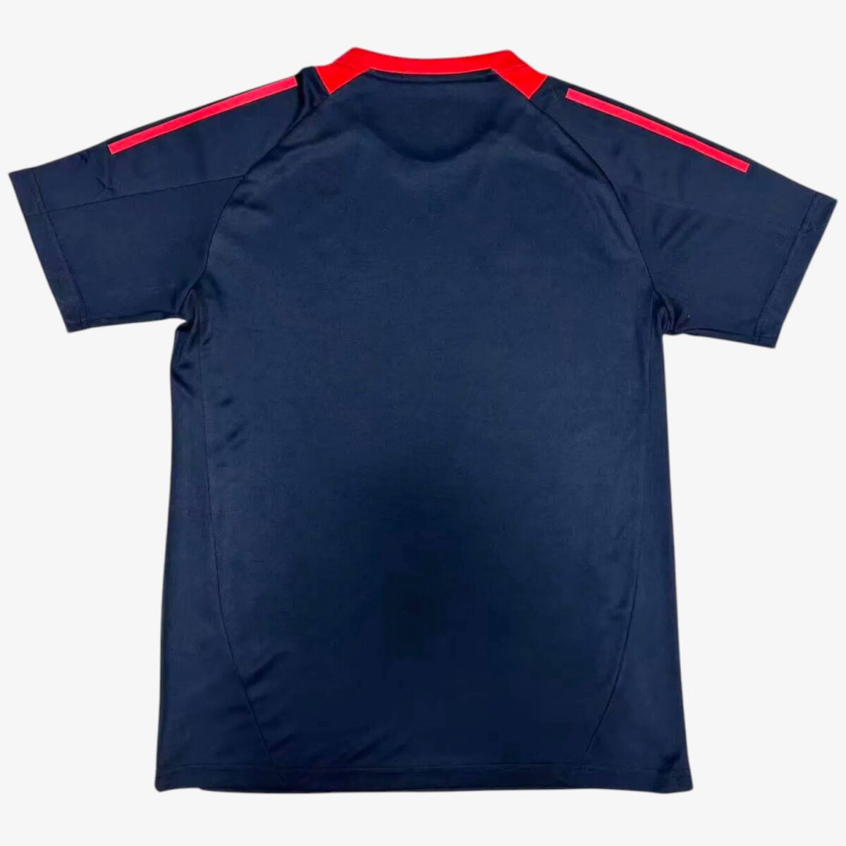 Internacional Royal Blue Training shirts 2025/26 - Image 2