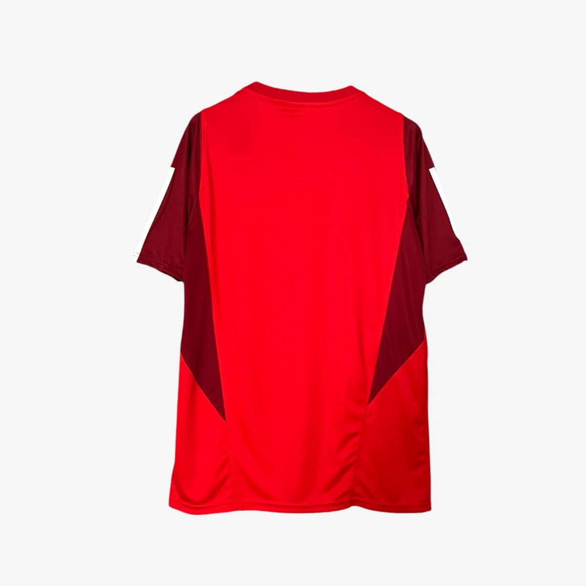 Internacional Training Wear Jersey 2024/25 - Image 5