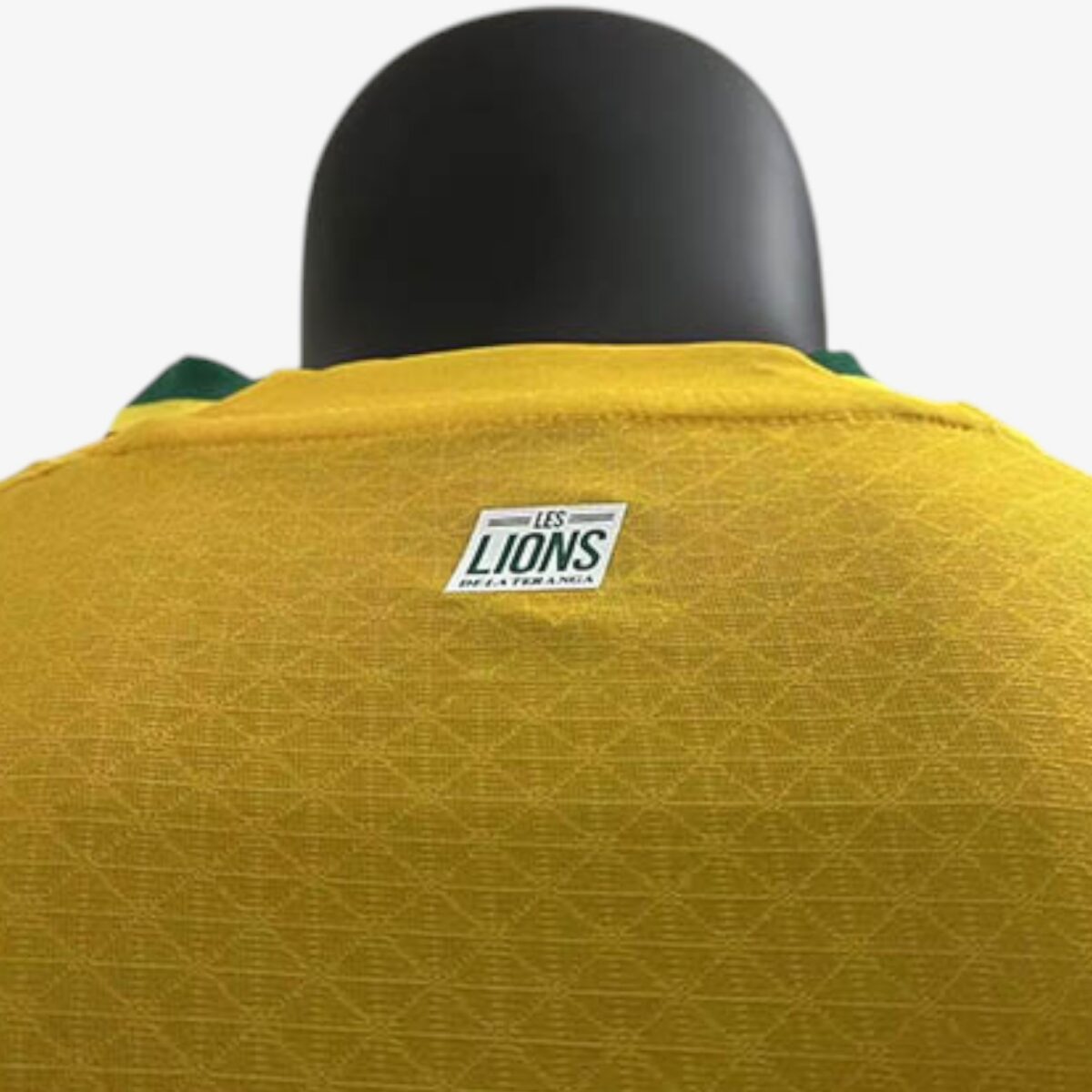 Senegal Third Jersey Player Version 2022 - Image 3