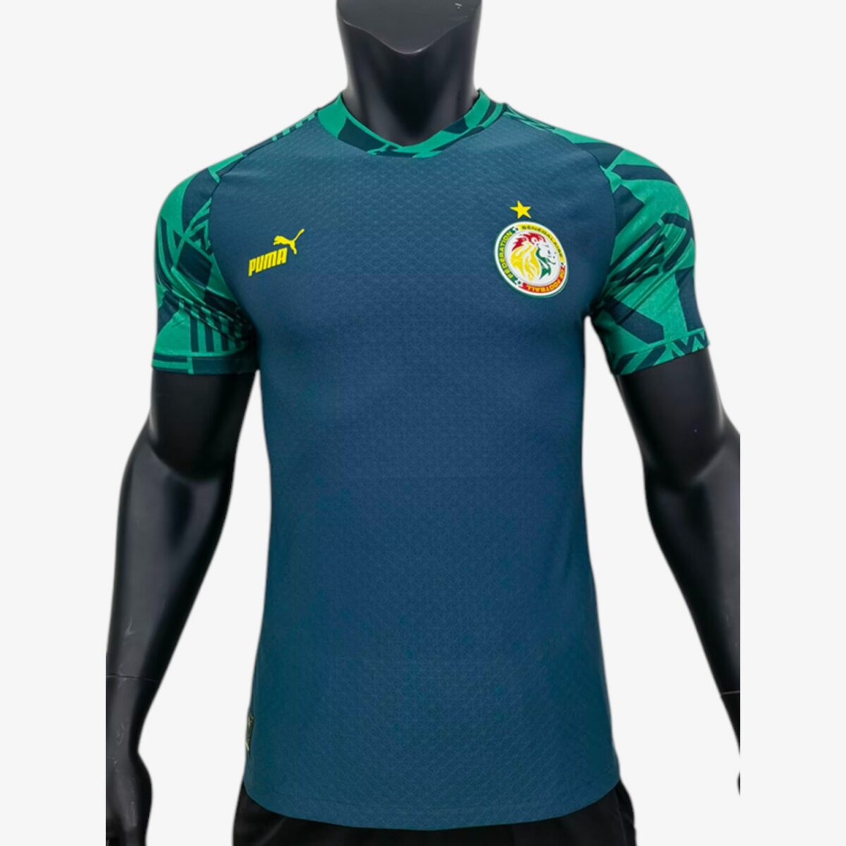 Senegal Training Jersey Player Version 2022