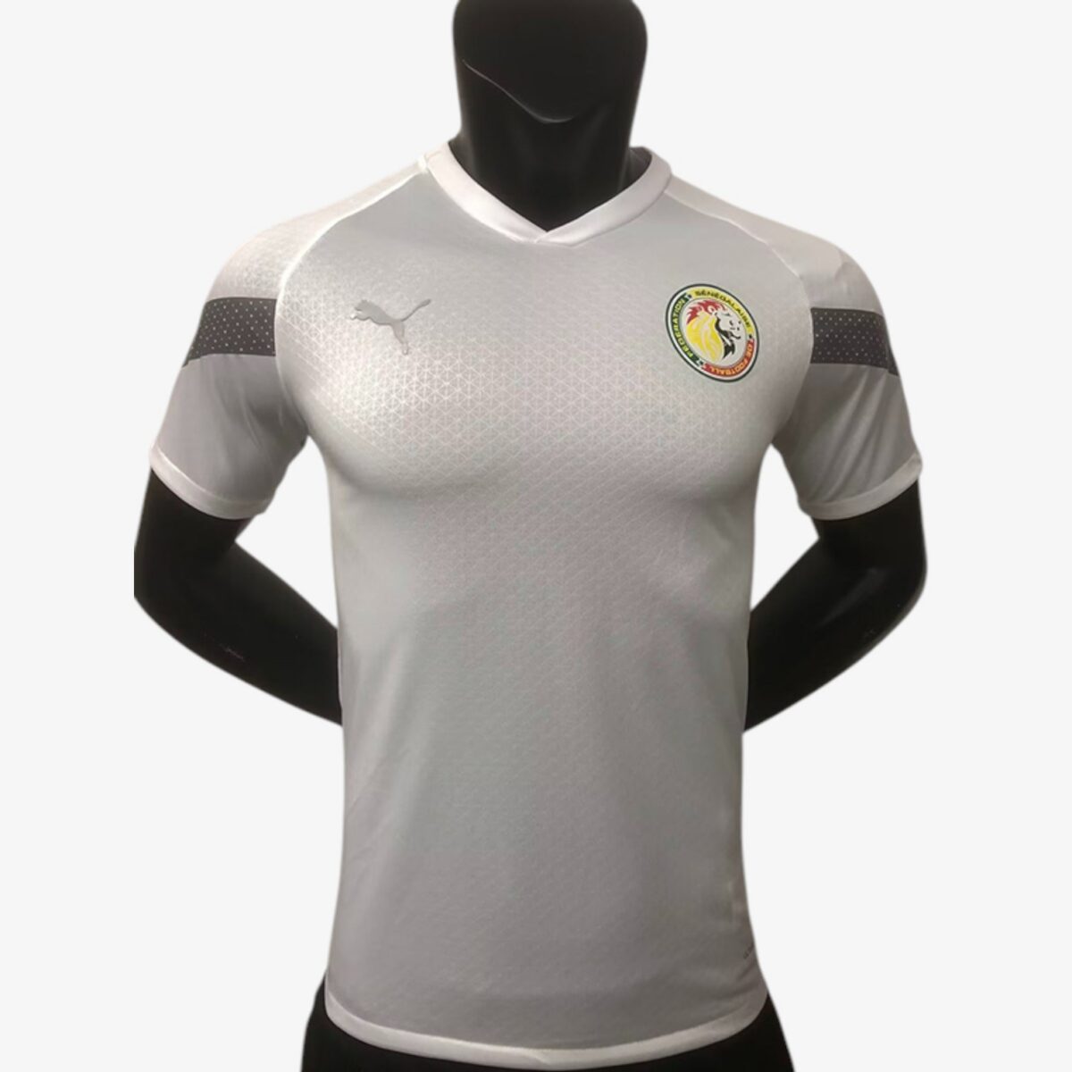 Senegal Training Jersey Player Version 2022/23