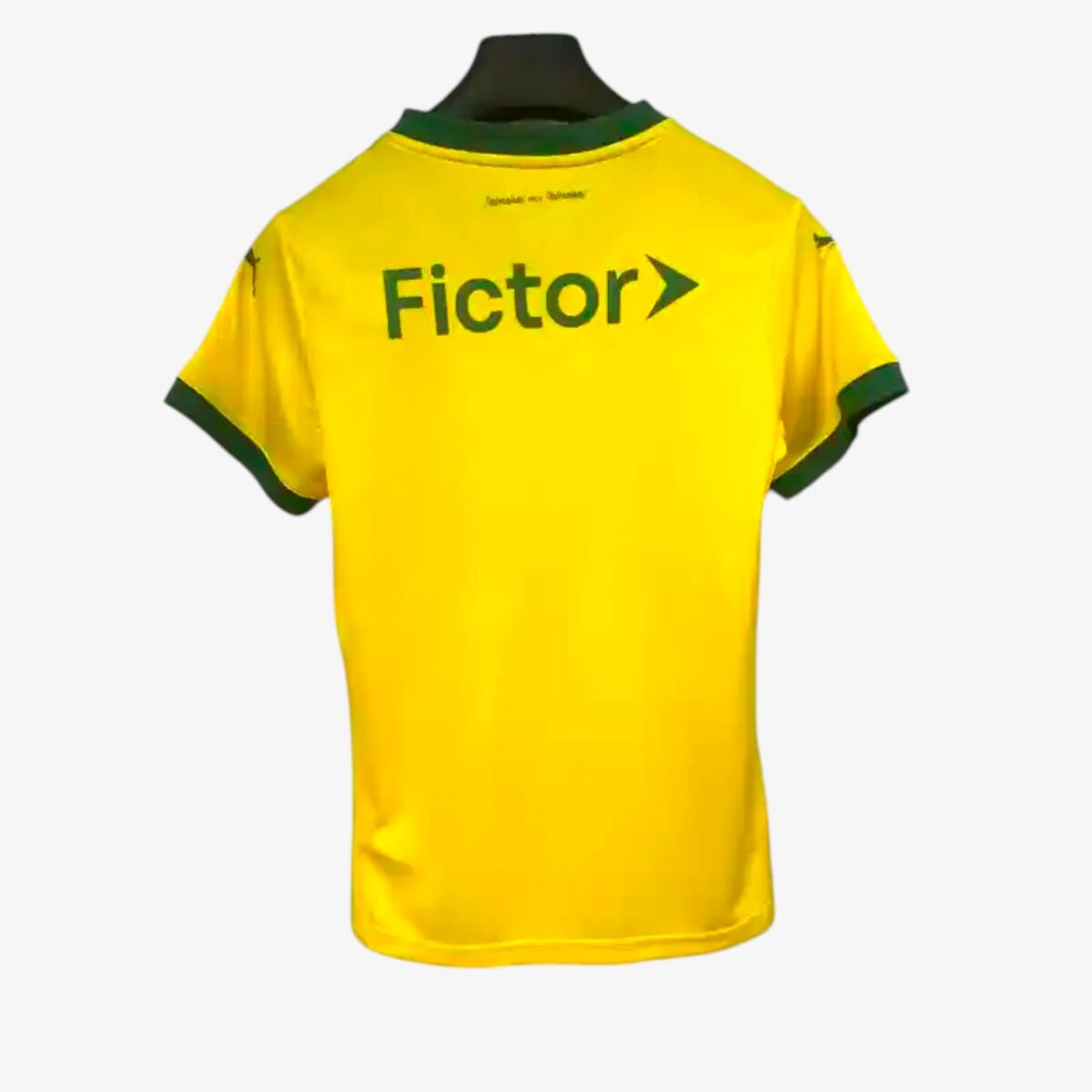 Women's Palmeiras Fourth Jersey 2025/26 - Image 2