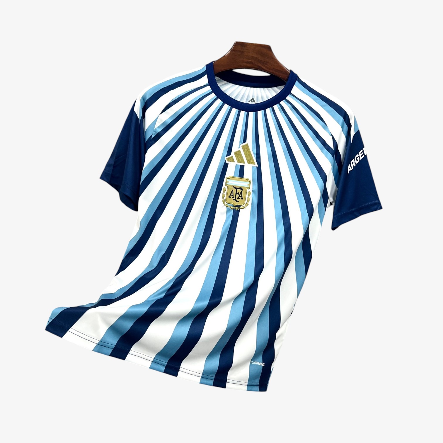 Argentina Training FIFA World Cup Jersey 2026