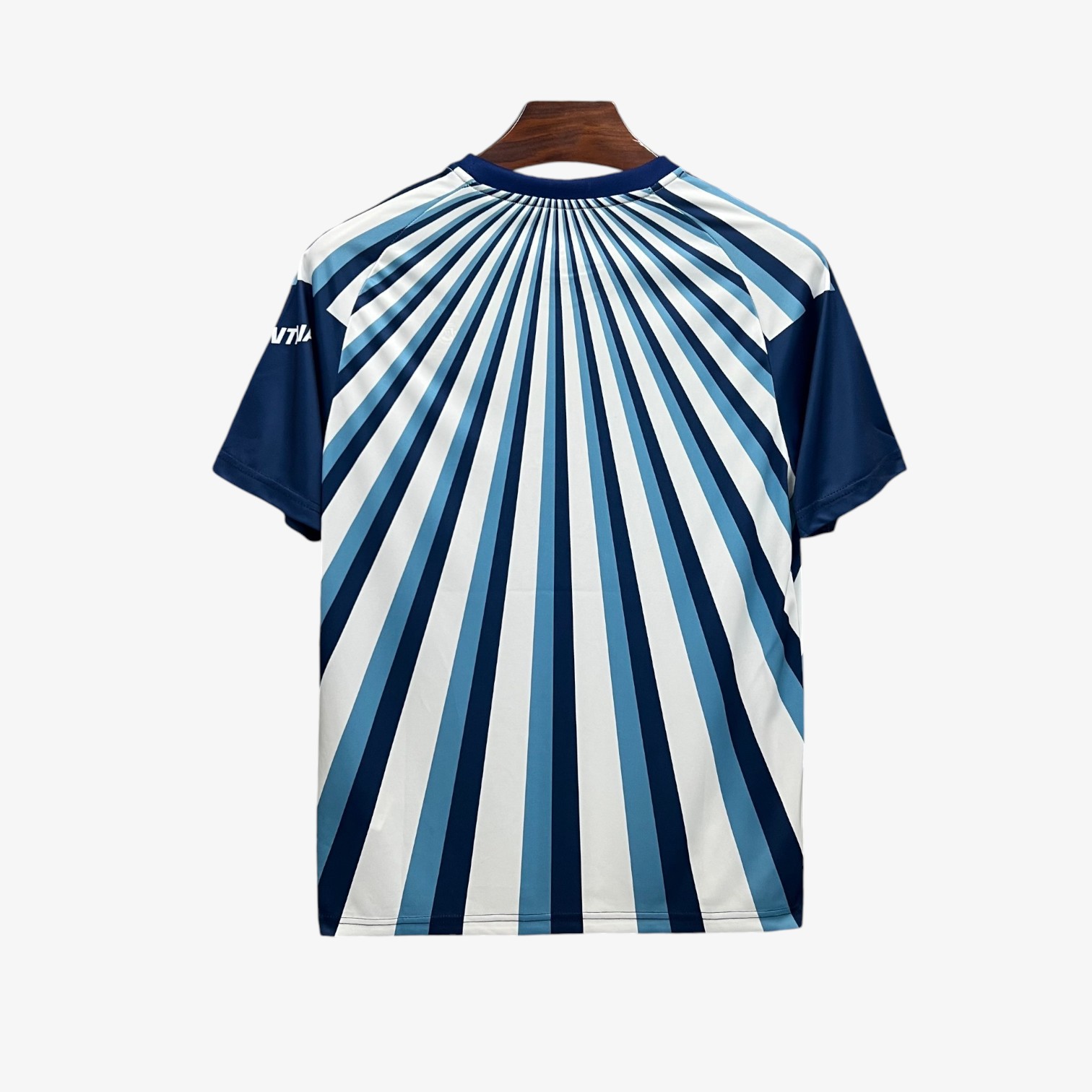 Argentina Training FIFA World Cup Jersey 2026 - Image 2