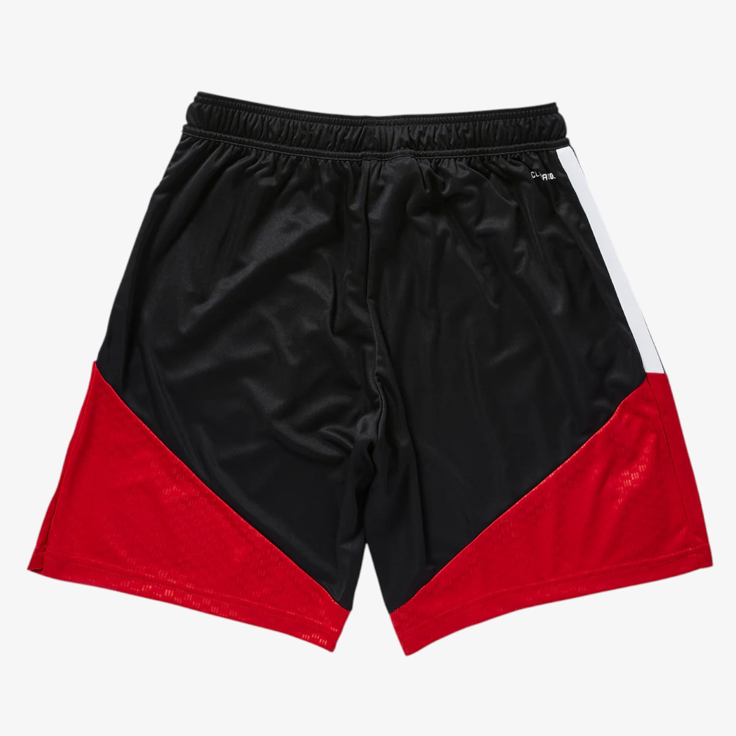 Germany Training Short 2026 - Image 2