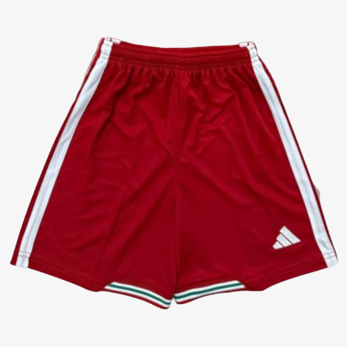 Wales Home Shorts 2026 - Image 2